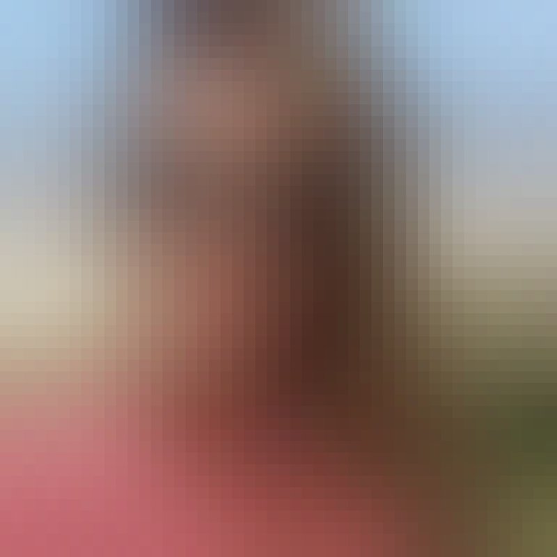 Petra, 36, Leposaviq
