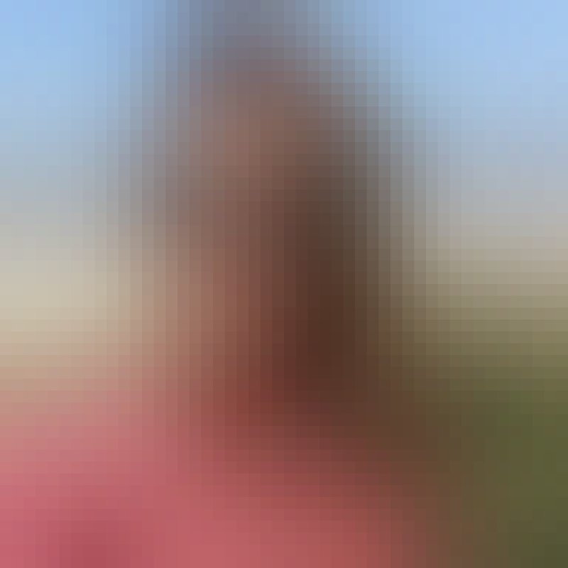Petra, 36, Plougasteldaoulas