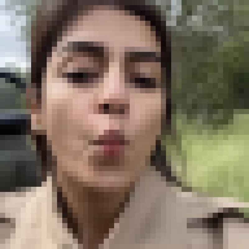 Nicole, 35, Netherlands
