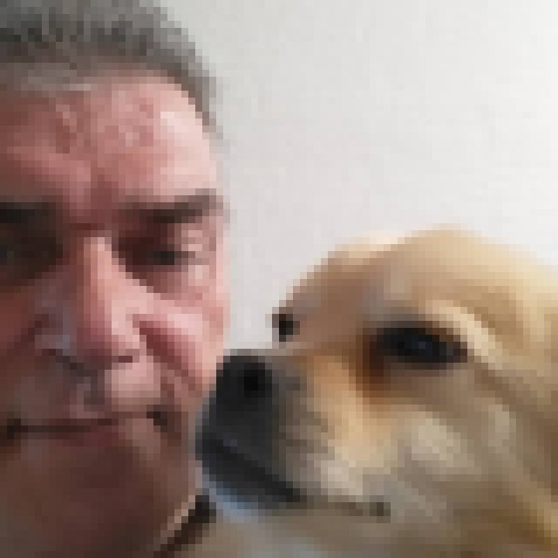 Peter, 61, Canada