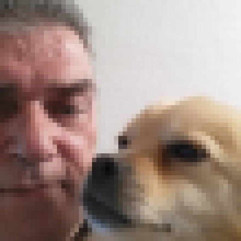 Peter, 61, Ogden