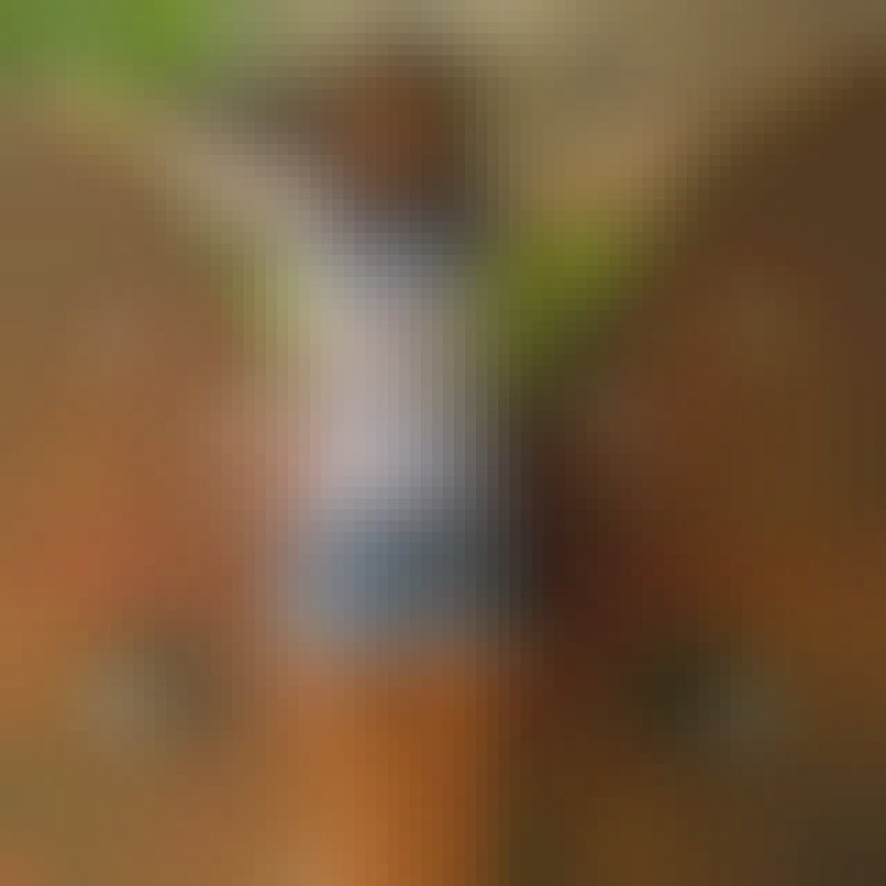 Amia, 37, Gauting