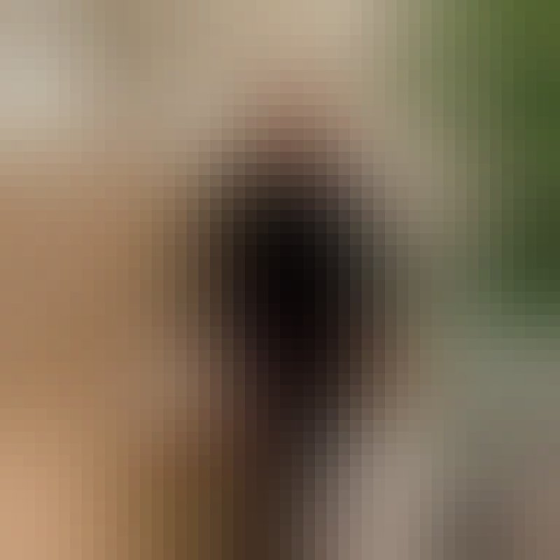 Julie, 34, Carovigno