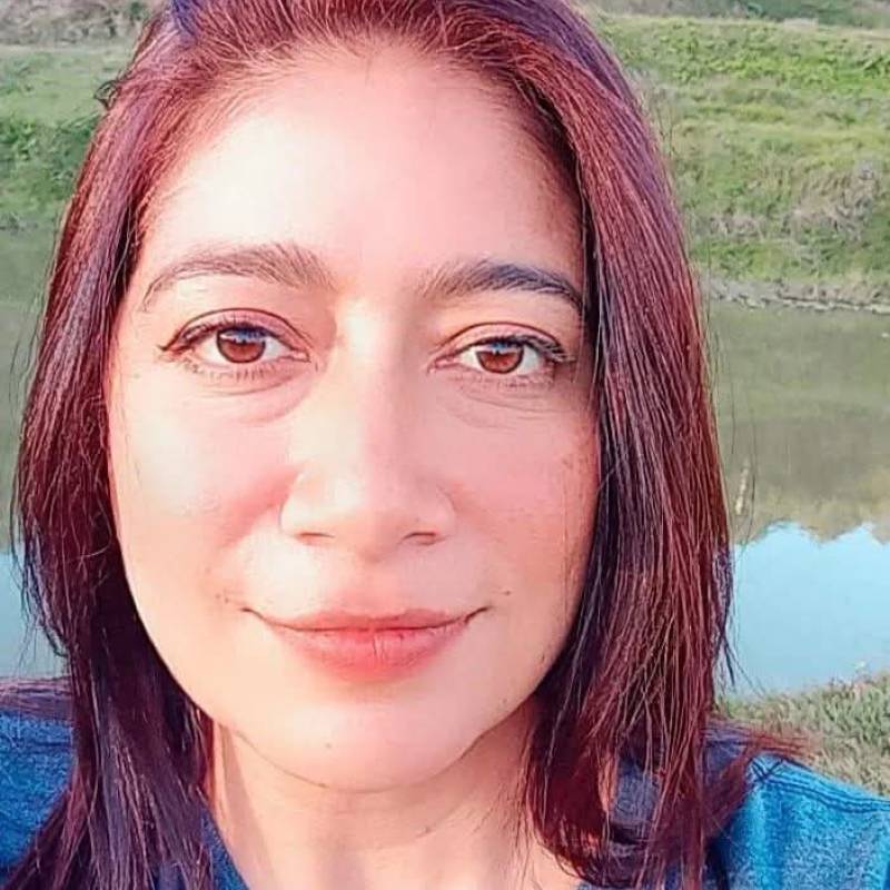 Milissen, 44, Lower Paxton