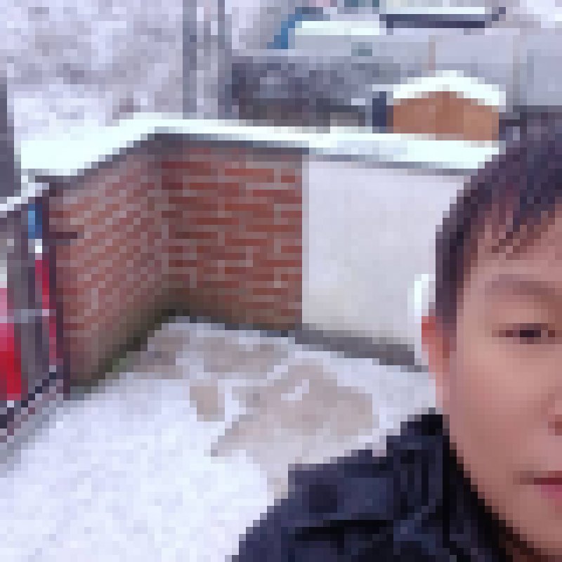 Benedict, 40, Juqui