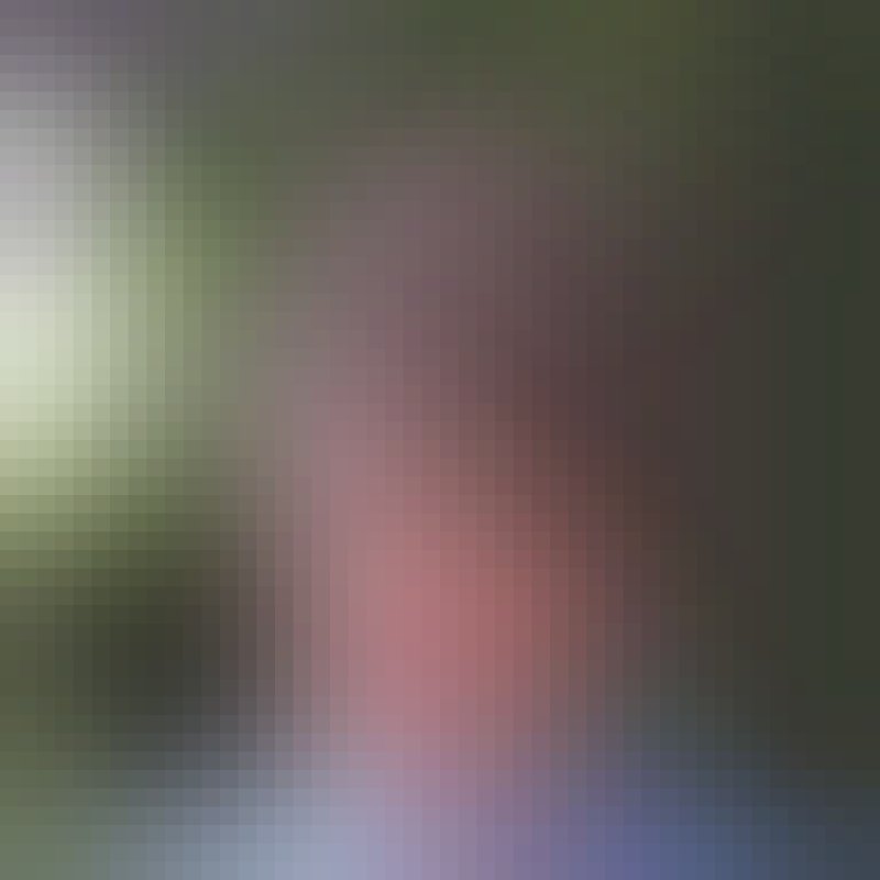 Layla Salama, 48, Qoorlugud