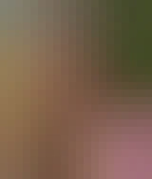 Mary wood, 35, India