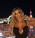 Sophia love, 33, Tibubeneng