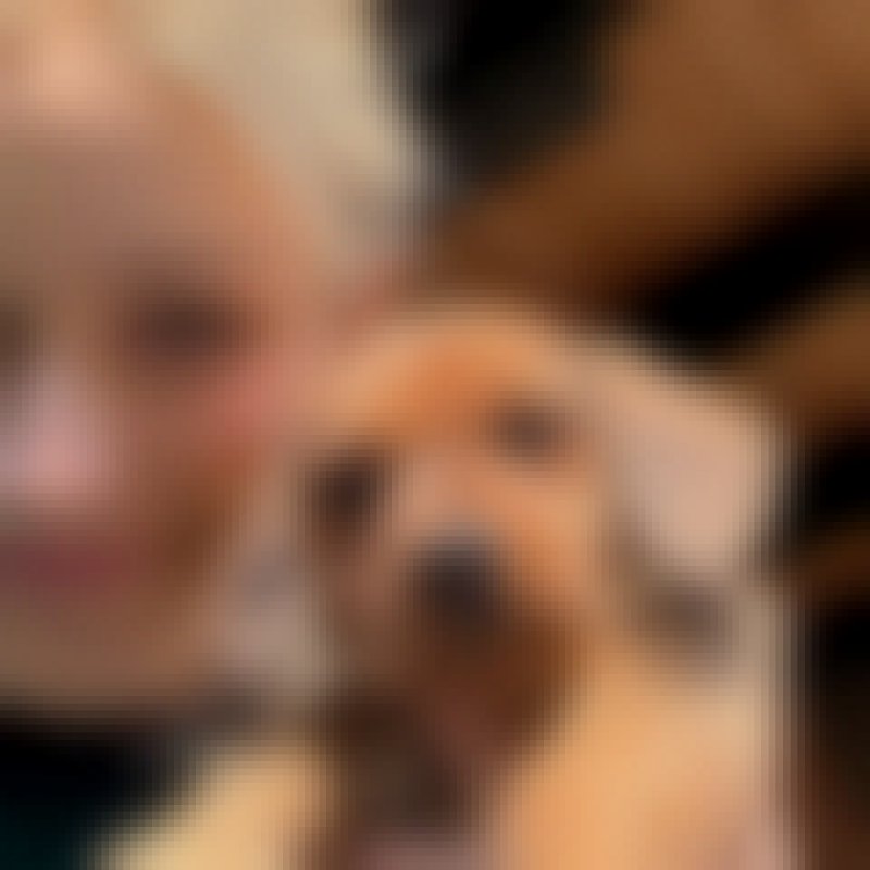 Maria, 31, Salgueiro
