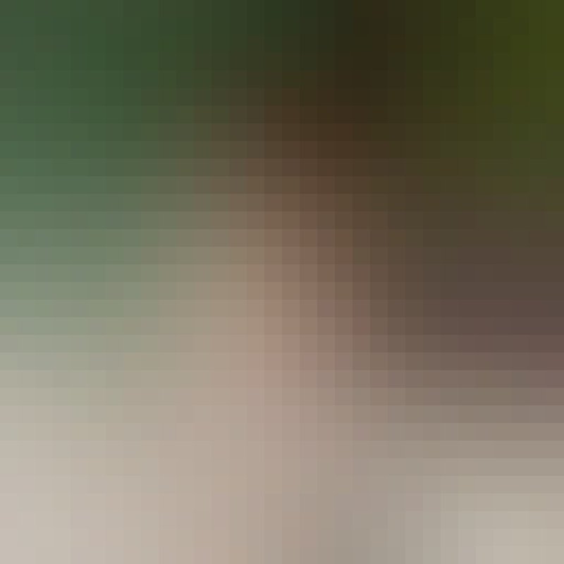 Lily, 59, Kiskunflegyhza