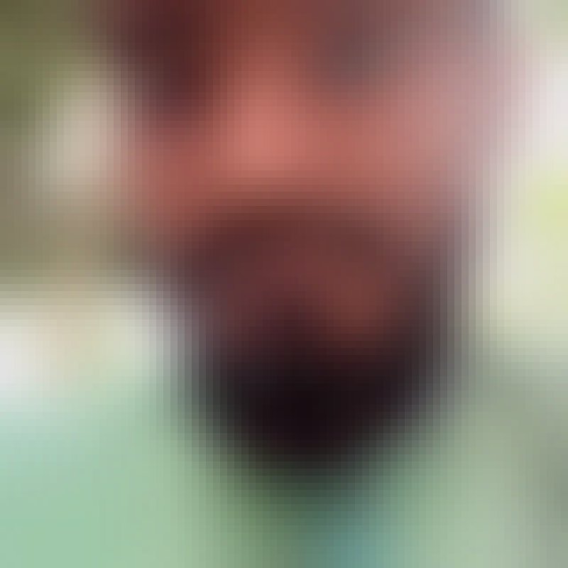 md, 31, Padiala