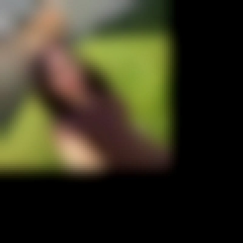 Lisa, 39, Broughton Astley