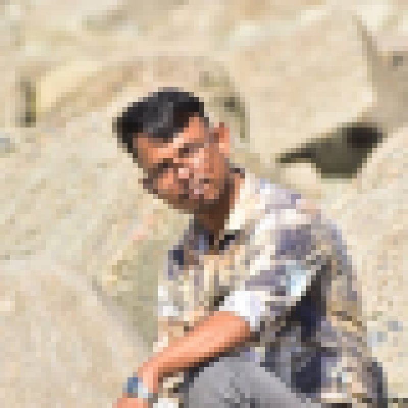 Shamim, 38, Netherlands