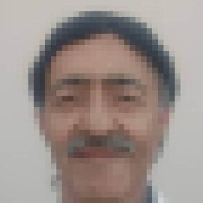 Anil, 69, Taman