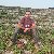 sayeedur rahman, 27, Aydn