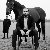 Feroz, 30, Neunkirchen