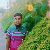 Arif khan, 25, Netherlands