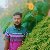 Arif khan, 25, Appleton