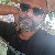Shohag, 35, Meitingen