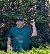 DwayneGazz, 53, Walker