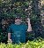 DwayneGazz, 53, Congo