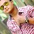 Sohel Raz, 33, Iraq