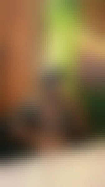 ARIYAN, 24, Lahar