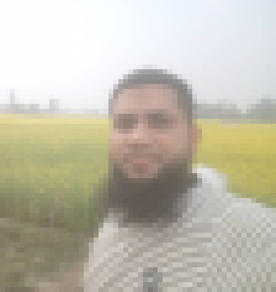 Alim khan, 32, Port Elgin
