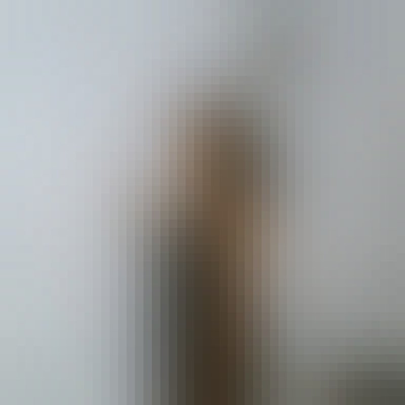 bellajasmi, 34, United States