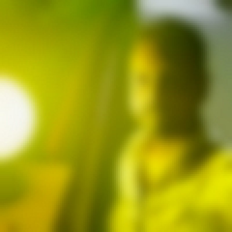 Munna, 31, Kranjska Gora