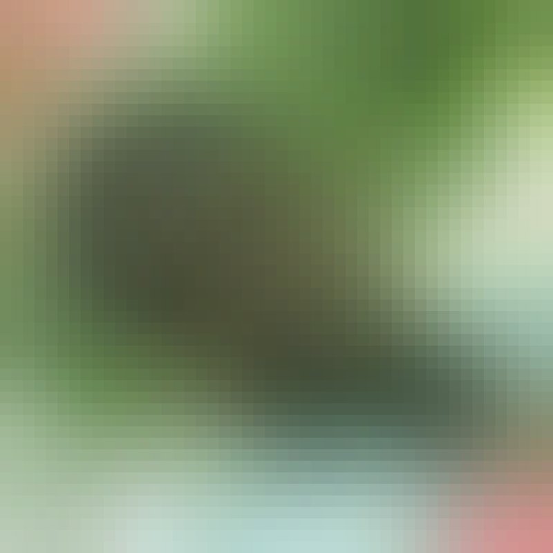 Sahidul Islam, 35, Barbacoas