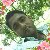 Sahidul Islam, 35, Las Brenas