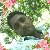Sahidul Islam, 35, Wetherby