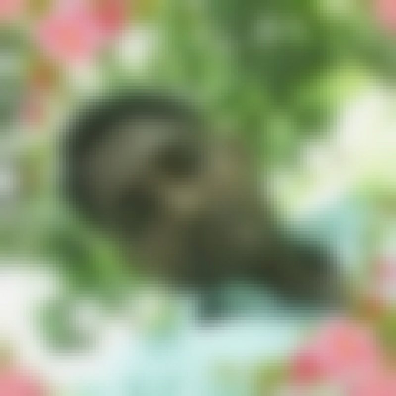 Sahidul Islam, 35, Shimogamo