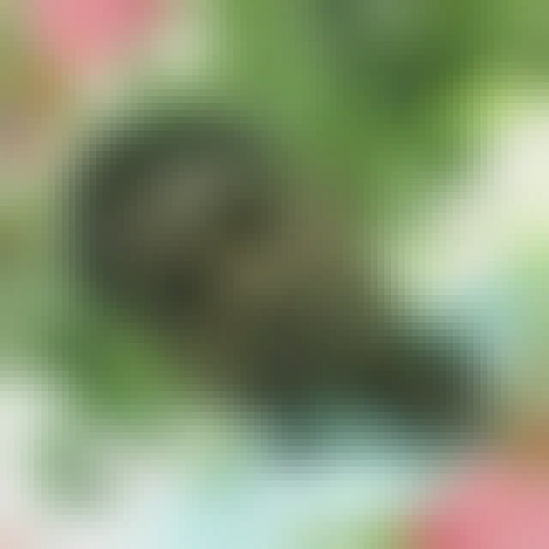 Sahidul Islam, 35, Gundugolanu