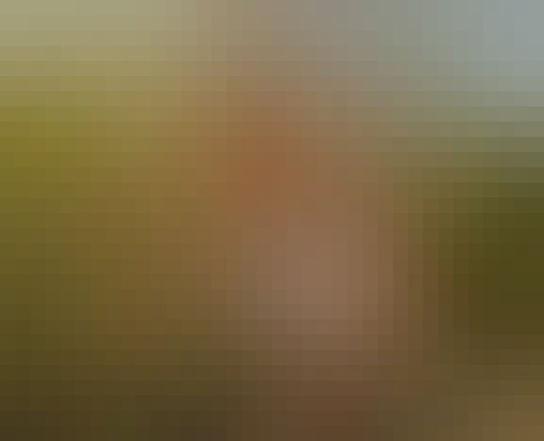 Melissa, 36