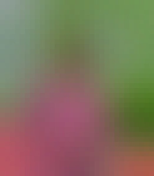 Mojahid Islam, 22, Nawbganj