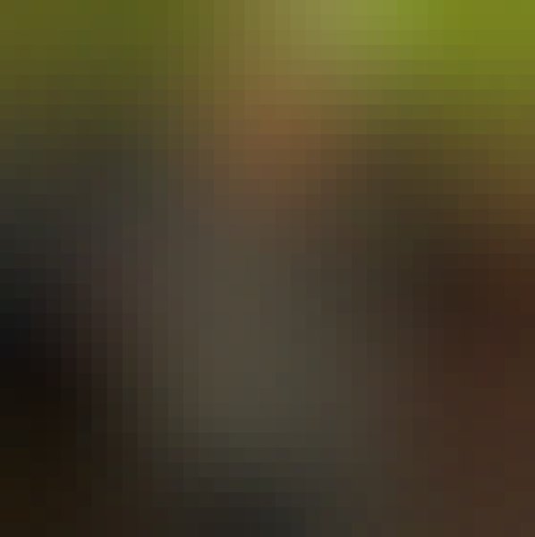 Melissa, 30, Guasca
