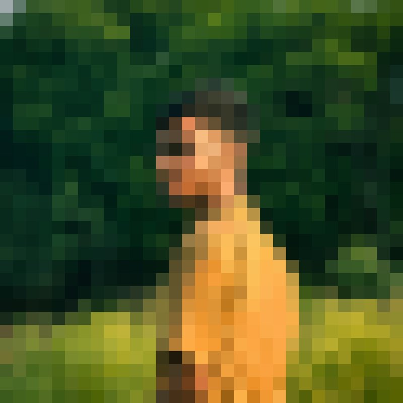 Md Alhaj, 19, Deo