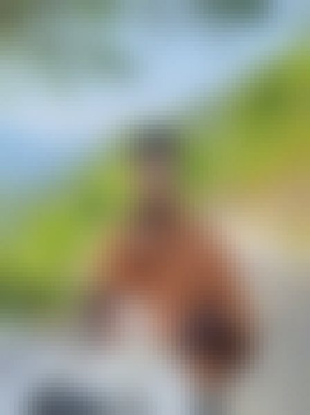 Shuvo, 23, Hainaut