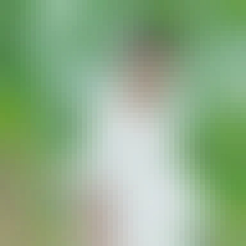 Bijoy, 20