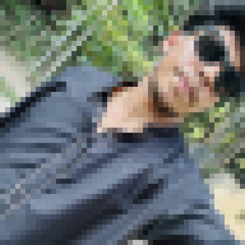 ABIR, 18, Panpuli