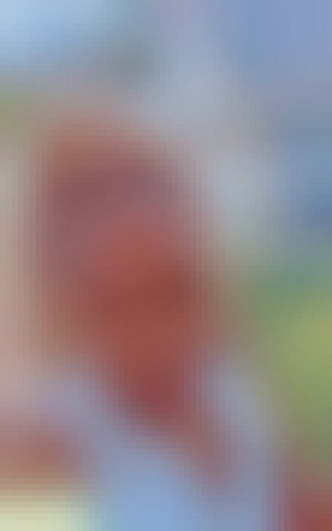 Caren, 35, Netherlands