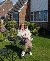Holz, 51, Keizer