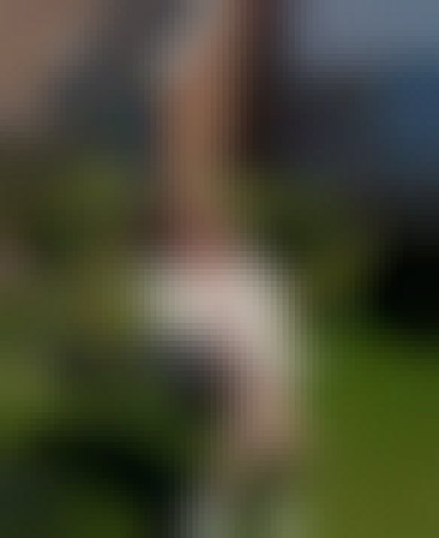 Holz, 51, Lemont