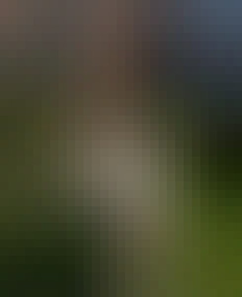 Holz, 51, Gioia Tauro