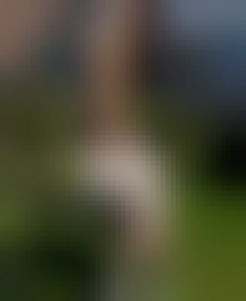 Holz, 51, Mios