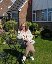 Holz, 51, Siverek