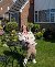 Holz, 51, Mser