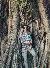 Riyad, 22, Namibia